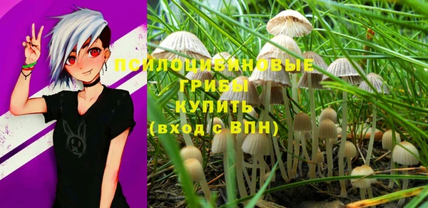 шишки Дмитровск