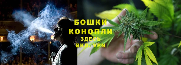 МДПВ Дмитриев