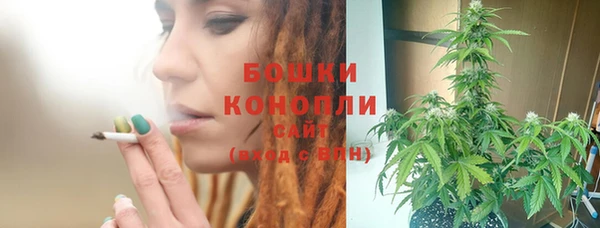 тгк Дмитров
