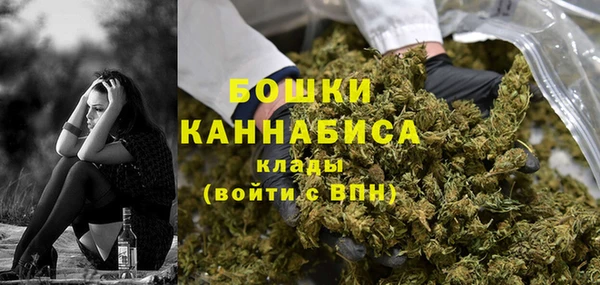 шишки Дмитровск