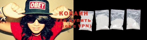 МДПВ Дмитриев