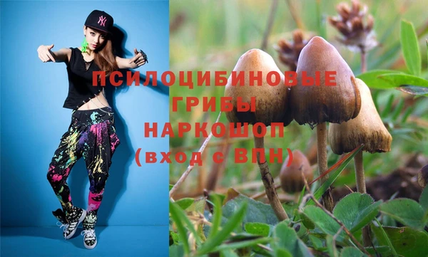 МДПВ Дмитриев