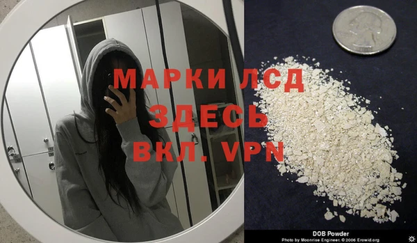 шишки Дмитровск