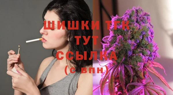 МДПВ Дмитриев