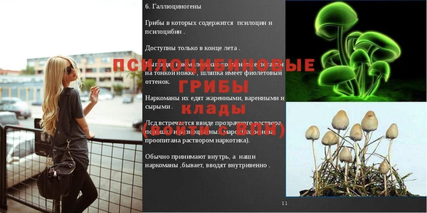 ECSTASY Гусь-Хрустальный