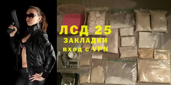 шишки Дмитровск