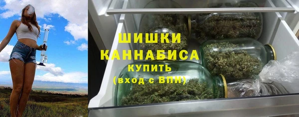 шишки Дмитровск