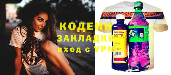 МДПВ Дмитриев
